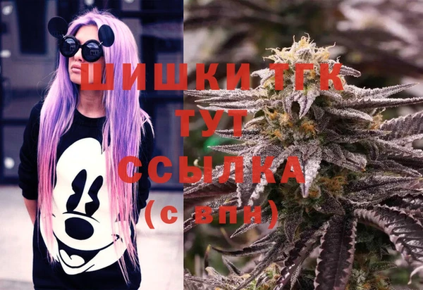дживик Корсаков